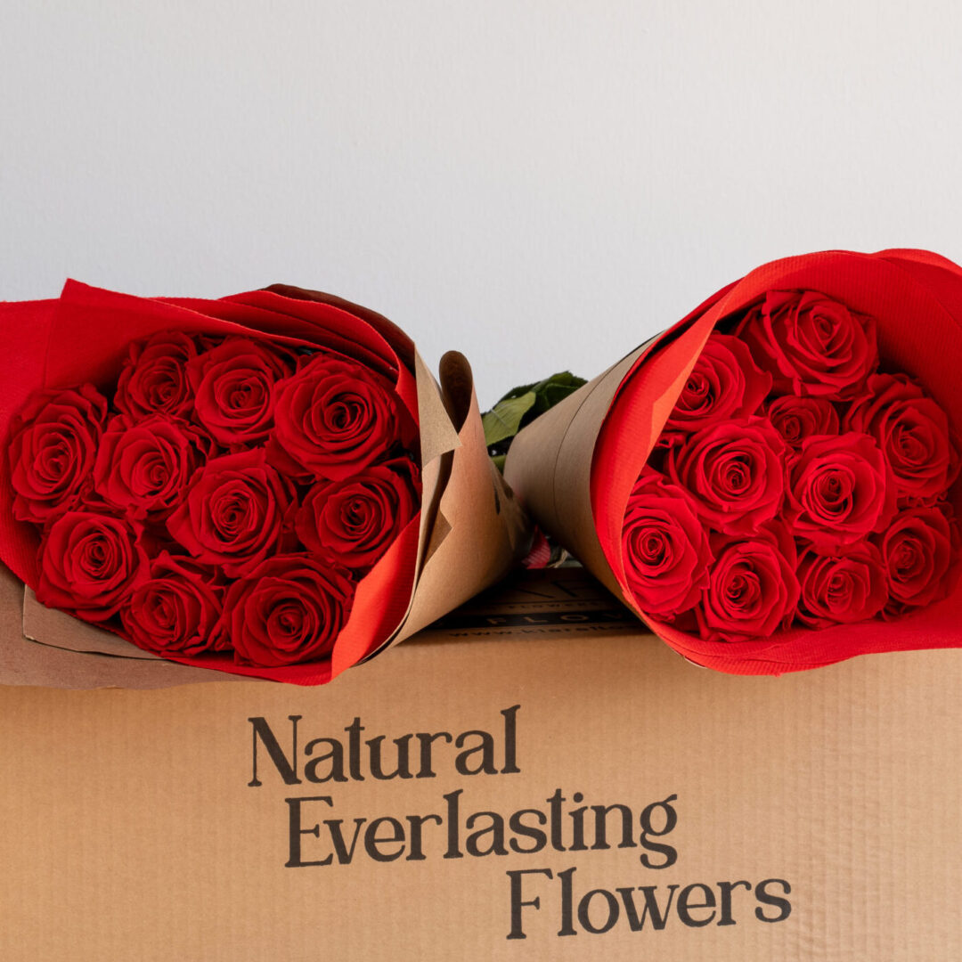 Premium Set of 24 Roses Retail